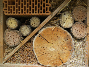 Insektenhotel